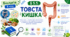 Товста кишка. Презентація,  інфографіка, робочий аркуш