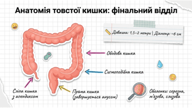 09021vcm-377e-390x220.png