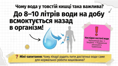 09021ves-cce7-386x217.png