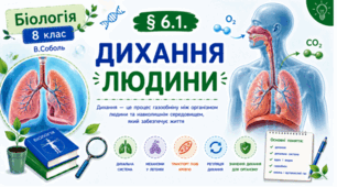 Дихання людини. Презентація, інфографіка, робочий аркуш