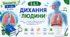 Дихання людини. Презентація, інфографіка, робочий аркуш