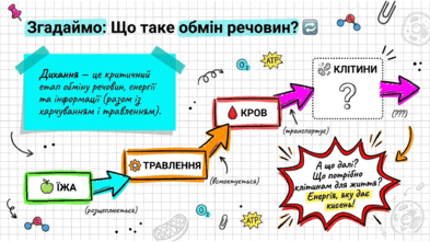 0902231j-eb1a-393x221.png