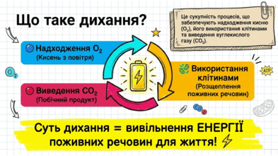 0902231t-b584-393x221.png
