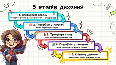09022324-2cdd-390x220.png