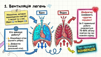 09022329-f531-414x233.png