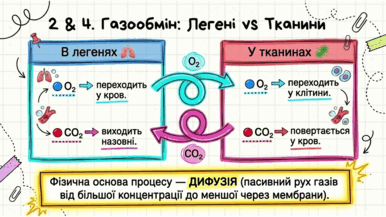 0902232b-dde3-386x217.png