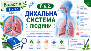 Дихальна система людини. Презентація, інфографіка, робочий аркуш
