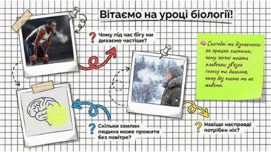 0902238s-800e-395x222.png