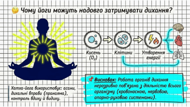 09022394-5966-393x221.png