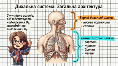 0902239c-eb5b-409x230.png