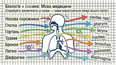 0902239m-d8de-405x228.png
