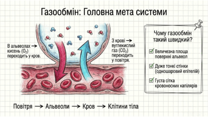 0902239v-b492-414x233.png