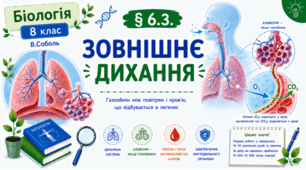 Зовнішнє дихання. Презентація, інфографіка, робочий аркуш
