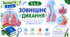 Зовнішнє дихання. Презентація, інфографіка, робочий аркуш