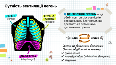 090223dx-d35f-405x227.png