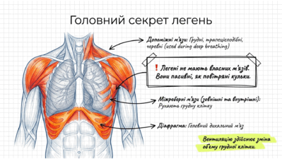 090223e3-54be-399x225.png