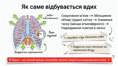 090223e4-5d14-405x228.png
