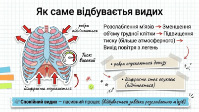 090223e8-50f5-402x226.png
