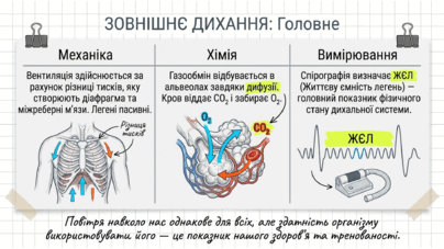 090223f1-edb5-404x227.png
