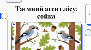 Сойка: лісник природи, імітатор і літературний символ