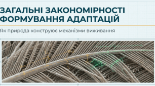 Презентація "Загальні закономірності формування адаптацій" 11 клас НУШ
