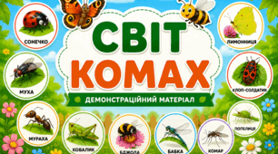 Демонстраційний матеріал "Світ комах"
