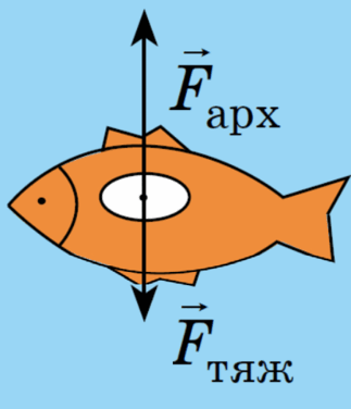 09022a86-fec8-323x376.png