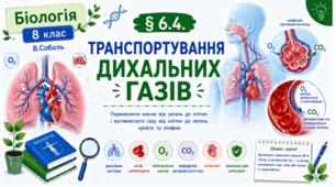 Транспортування дихальних газів. Презентація, інфографіка, робочий аркуш