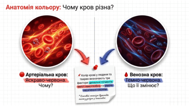 09022aiq-e8b6-389x219.png