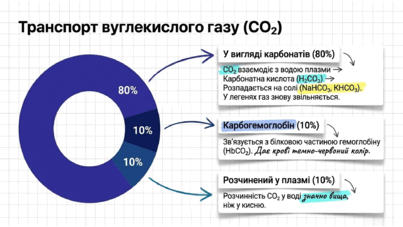 09022aj4-493d-403x227.png
