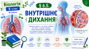 Внутрішнє дихання. Презентація, інфографіка, робочий аркуш