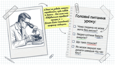 09022als-eaf0-387x218.png