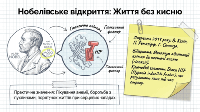 09022alv-6b86-404x227.png