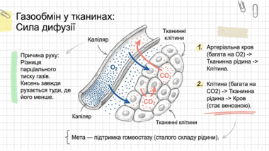 09022am1-938d-380x214.png