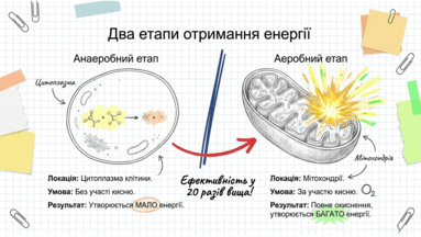 09022ama-84a9-383x216.png