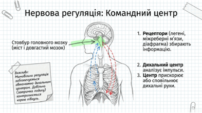 09022amp-3e6c-393x221.png