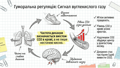 09022an5-d5c3-415x234.png