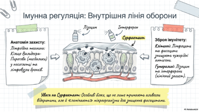 09022anh-a918-410x231.png