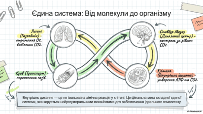 09022ano-0d3d-412x232.png