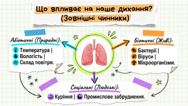09022asy-6315-374x211.png