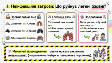 09022at7-34d1-383x216.png