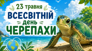Всесвітній день черепах: презентація+знайти відмінності+пошукова розмальовка