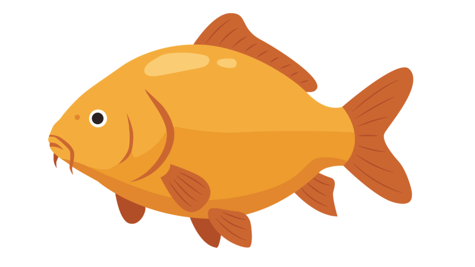09022cz7-0d87-940x529.png