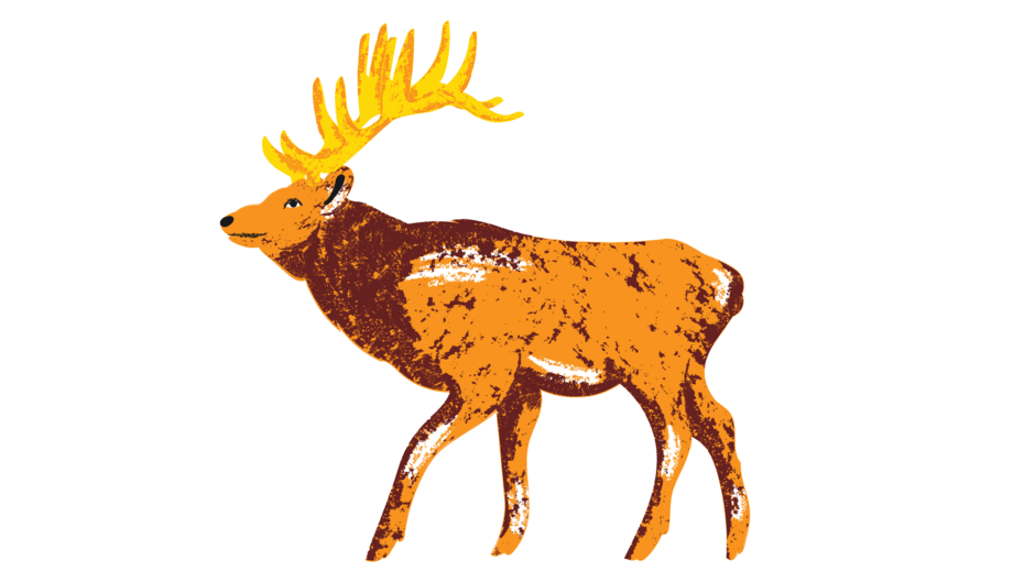 09022czf-2bc3-940x529.png
