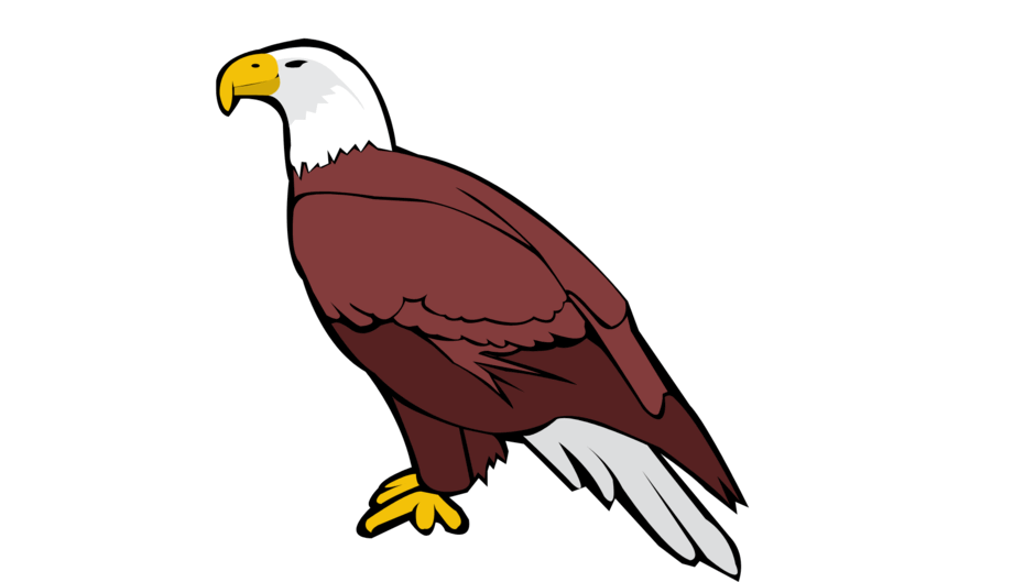 09022d37-5c55-940x529.png