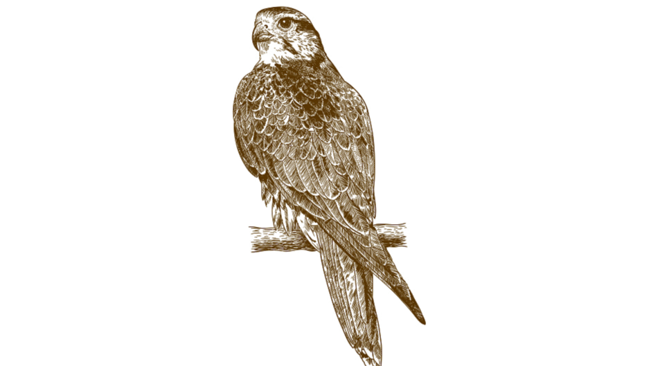 09022d3f-b744-940x529.png