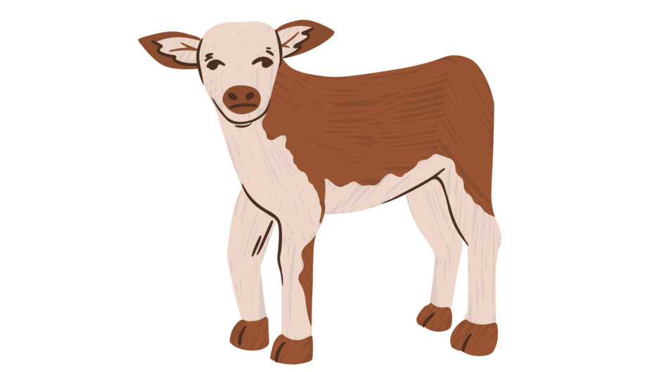 09022d3p-6897-940x529.png