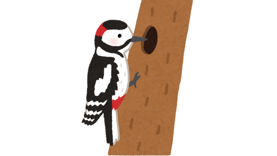 09022d42-133e-940x529.png