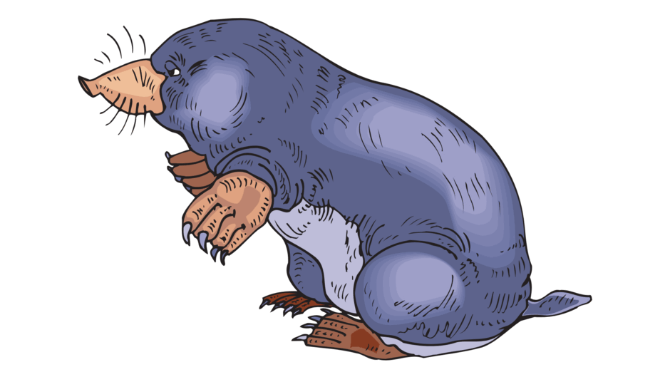 09022d4i-3aee-940x529.png