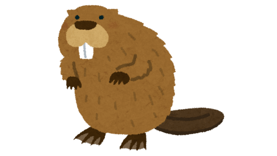 09022d54-edbb-940x529.png
